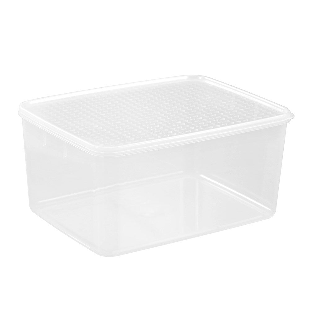 43889-lemon-lime-9-5l-simple-fresh-food-reusable-container-clear