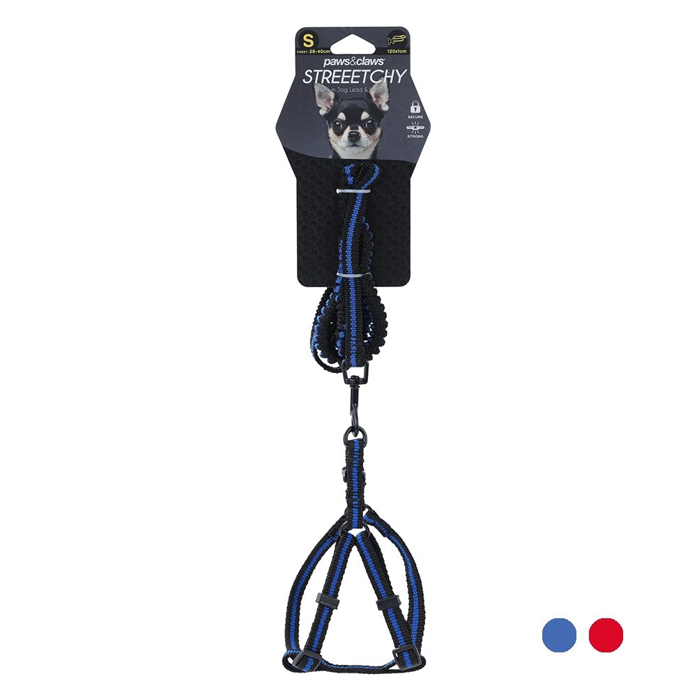 4pc Pawsnclaws Stretchy Dog/Pet Lead & Harness Assorted