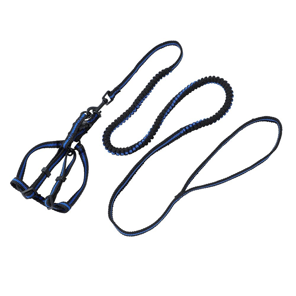 4pc Pawsnclaws Stretchy Dog/Pet Lead & Harness Assorted