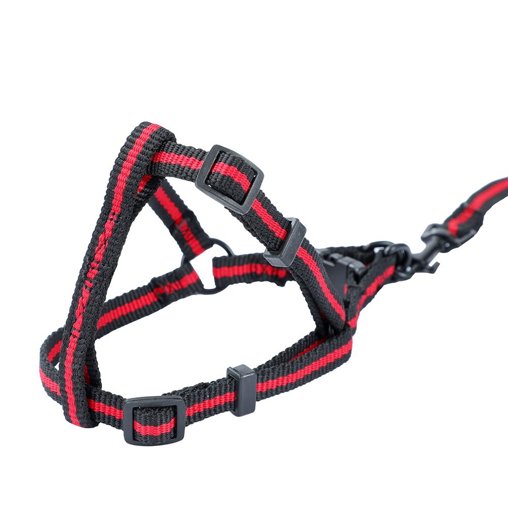 4pc Pawsnclaws Stretchy Dog/Pet Lead & Harness Assorted