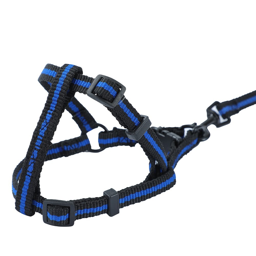 4pc Pawsnclaws Stretchy Dog/Pet Lead & Harness Assorted