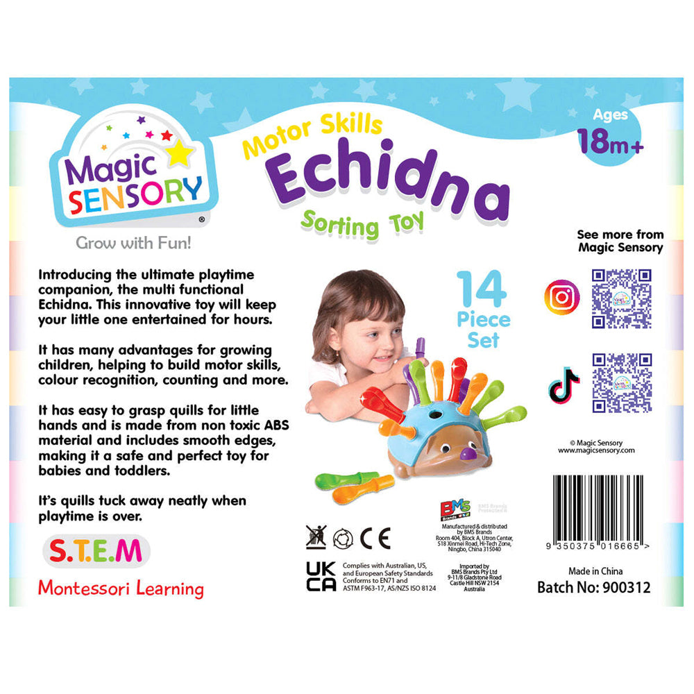 Magic Sensory Fine Motor Skills Kids Sorting Toy - Echidna 18m+