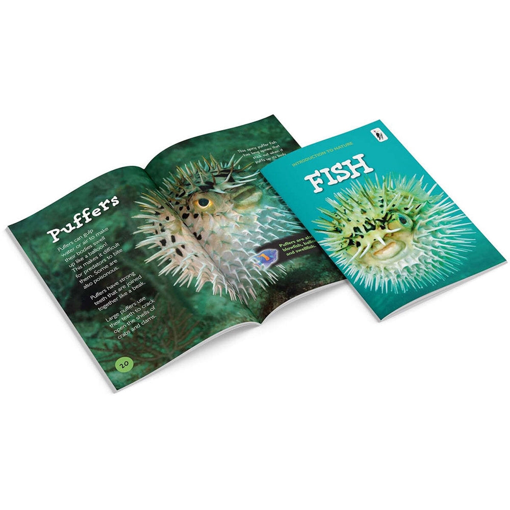 Woodpecker Introduction To Nature 10-Book Collection Paperback 5y+