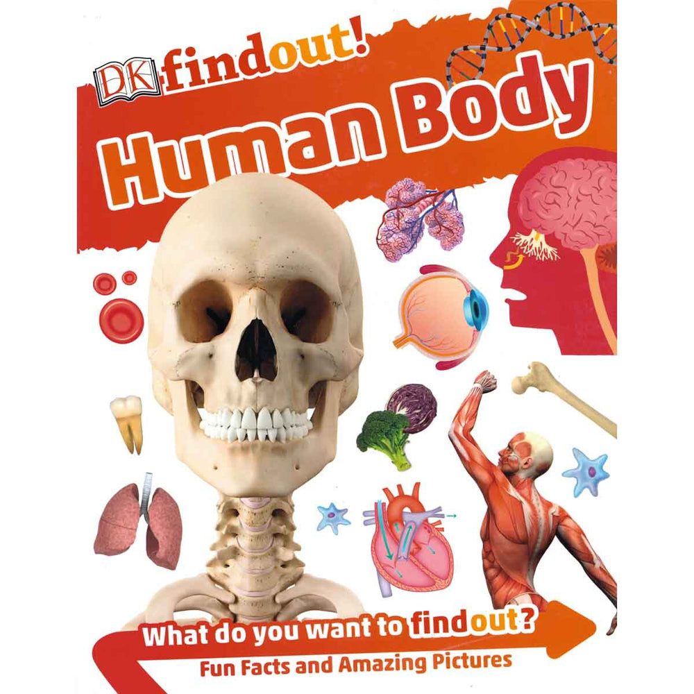 Promotional DK Findout! Human Body Learning Kids Paperback Book 5y+