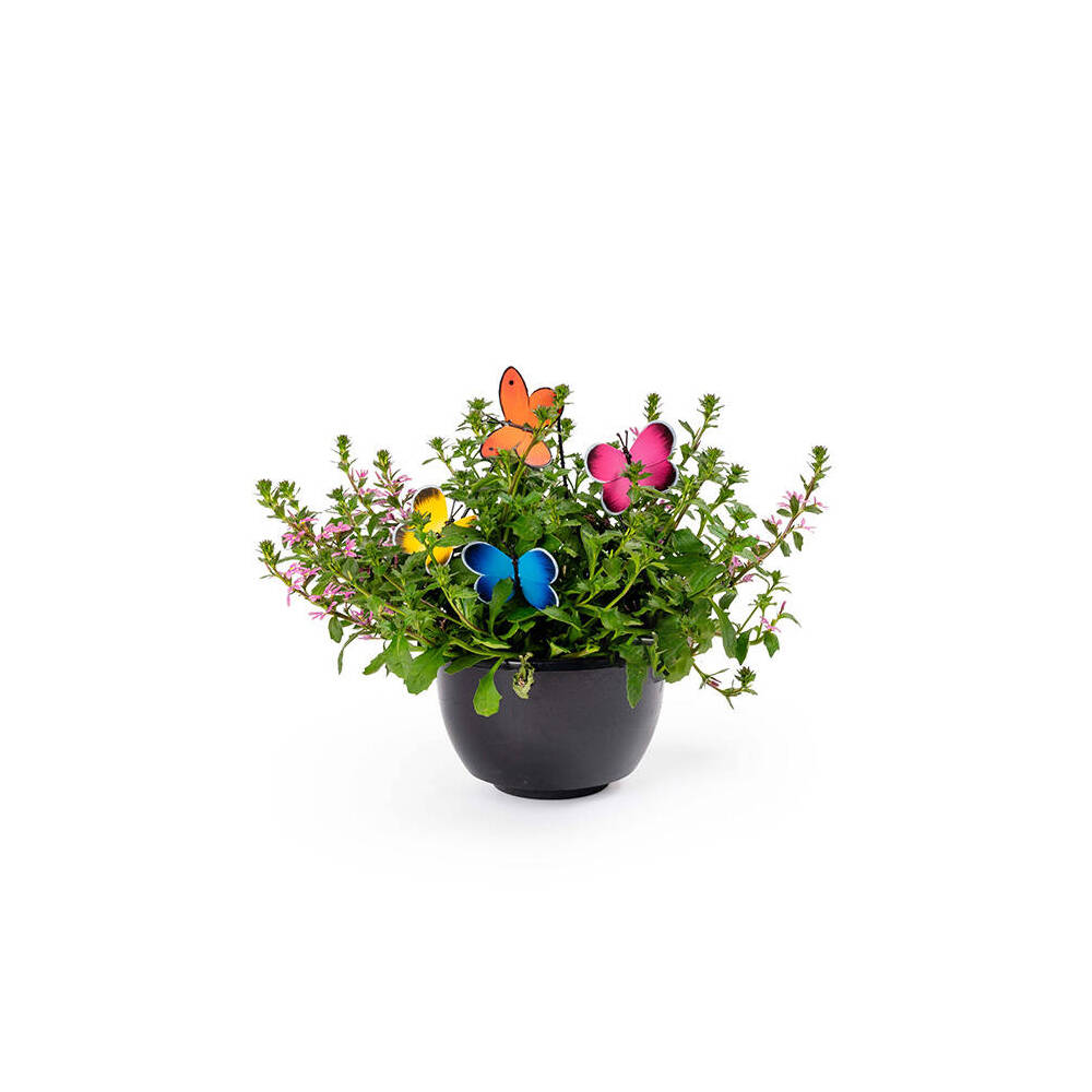 26590-butterfly-clip-home-garden-patio-display-decor-assorted