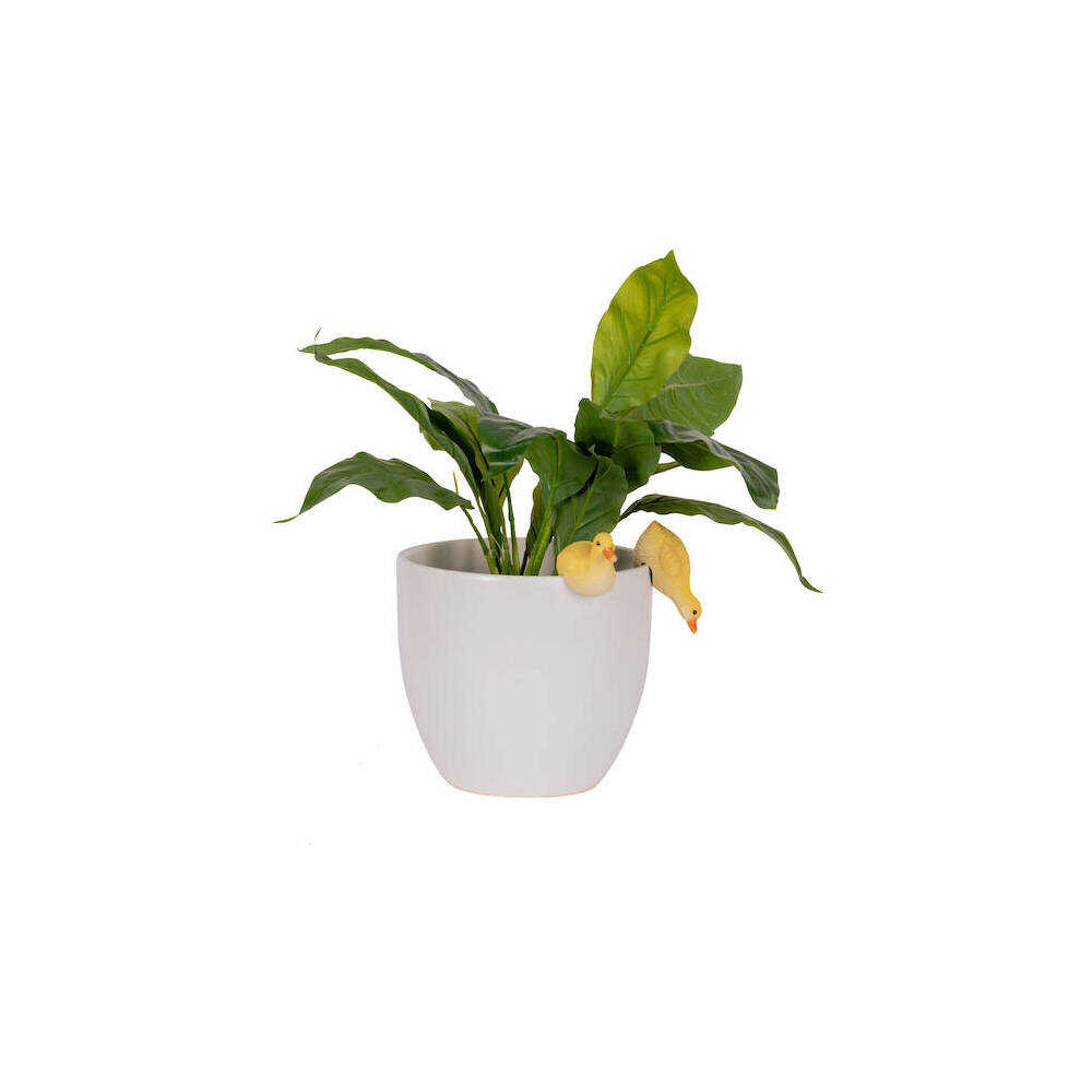 27696-polyresin-fixed-gap-duckling-pot-sitters-home-plant-pot-decor-assorted