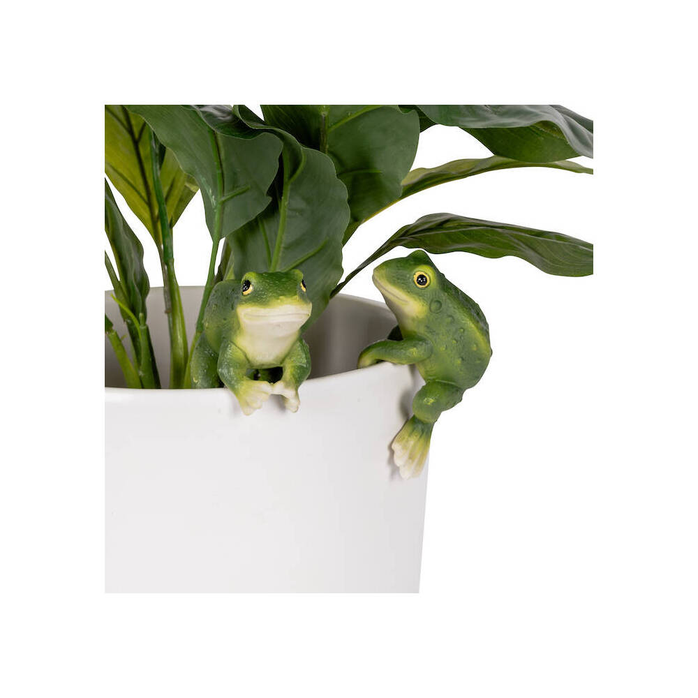 27702-polyresin-fixed-gap-frog-pot-sitters-home-plant-pot-decor-assorted