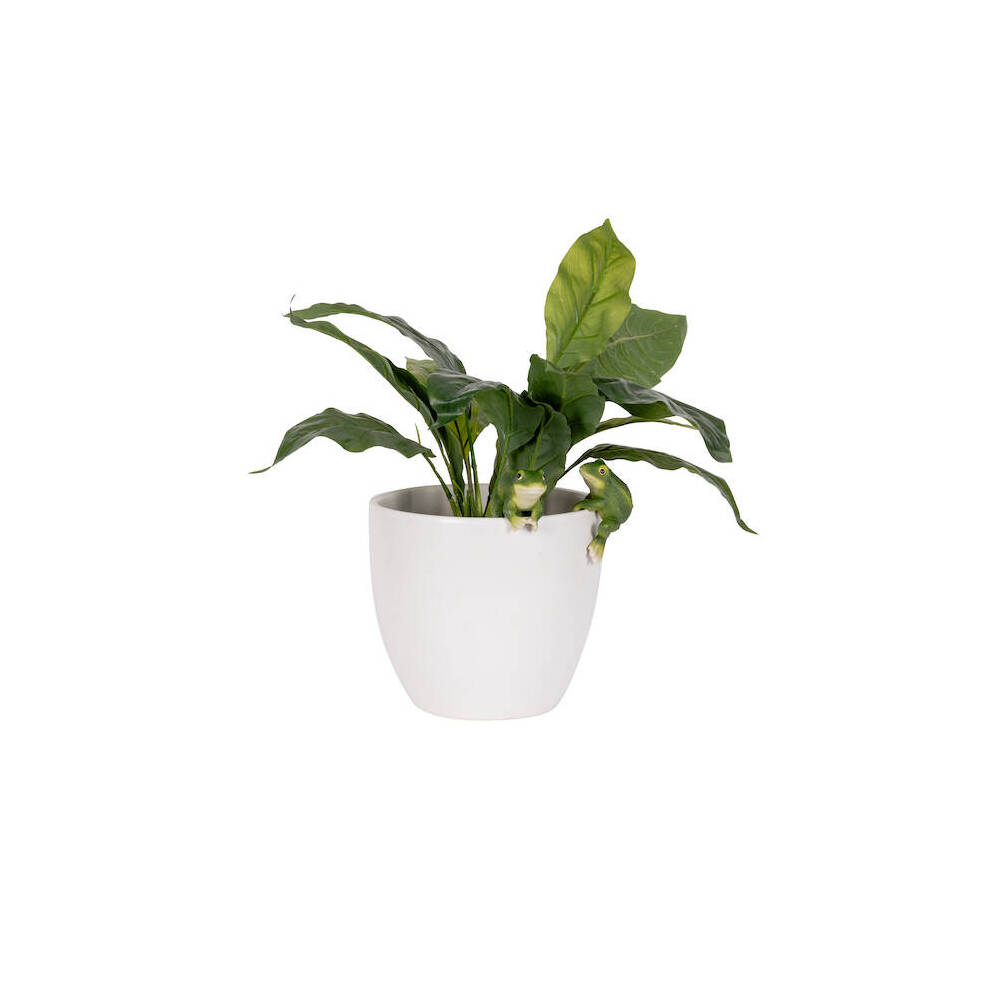 27702-polyresin-fixed-gap-frog-pot-sitters-home-plant-pot-decor-assorted