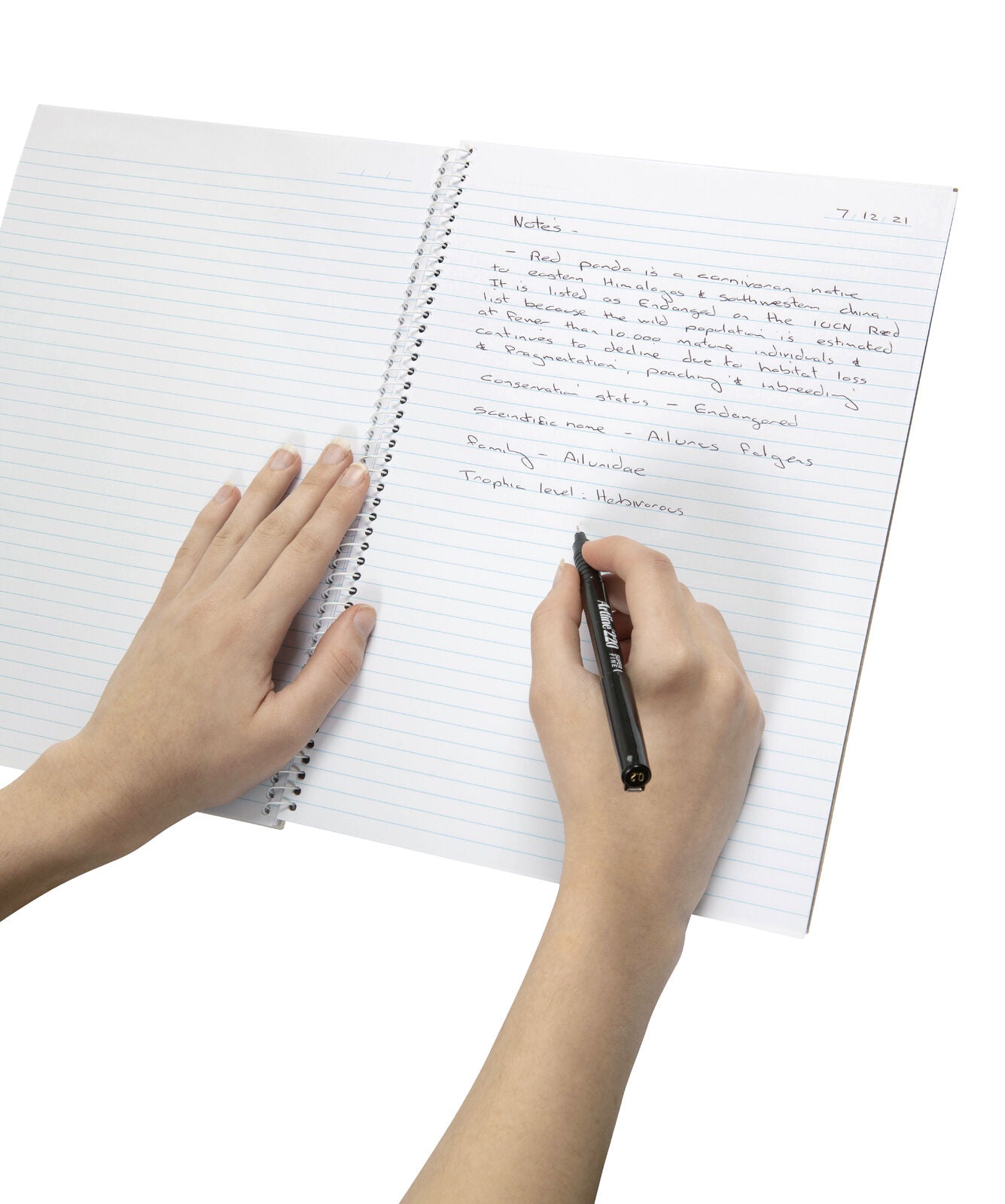 56058-1-spirax-595-spiral-writing-notebook-a4-120-pages-7mm-ruled-yellow