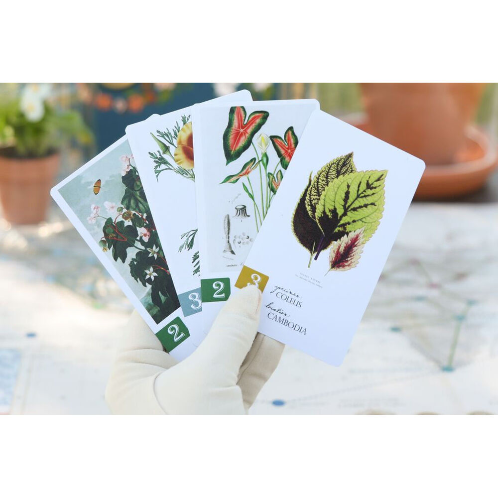 115635-dux-somnium-botany-strategy-board-game-kids-children-10y