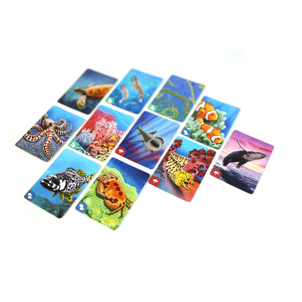 Genius Games Ecosystem: Coral Reef Kids Strategy Board Game 10y+