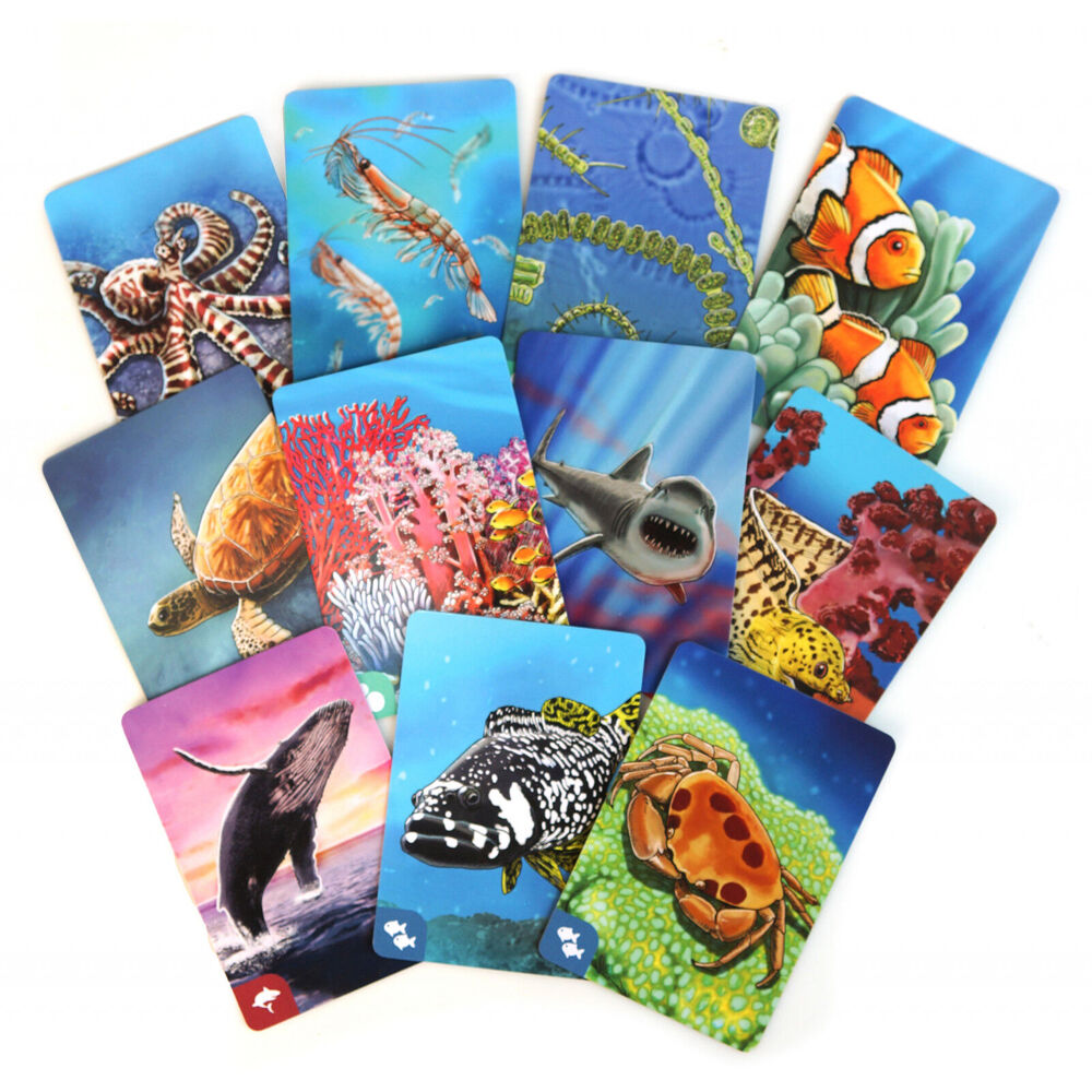 Genius Games Ecosystem: Coral Reef Kids Strategy Board Game 10y+