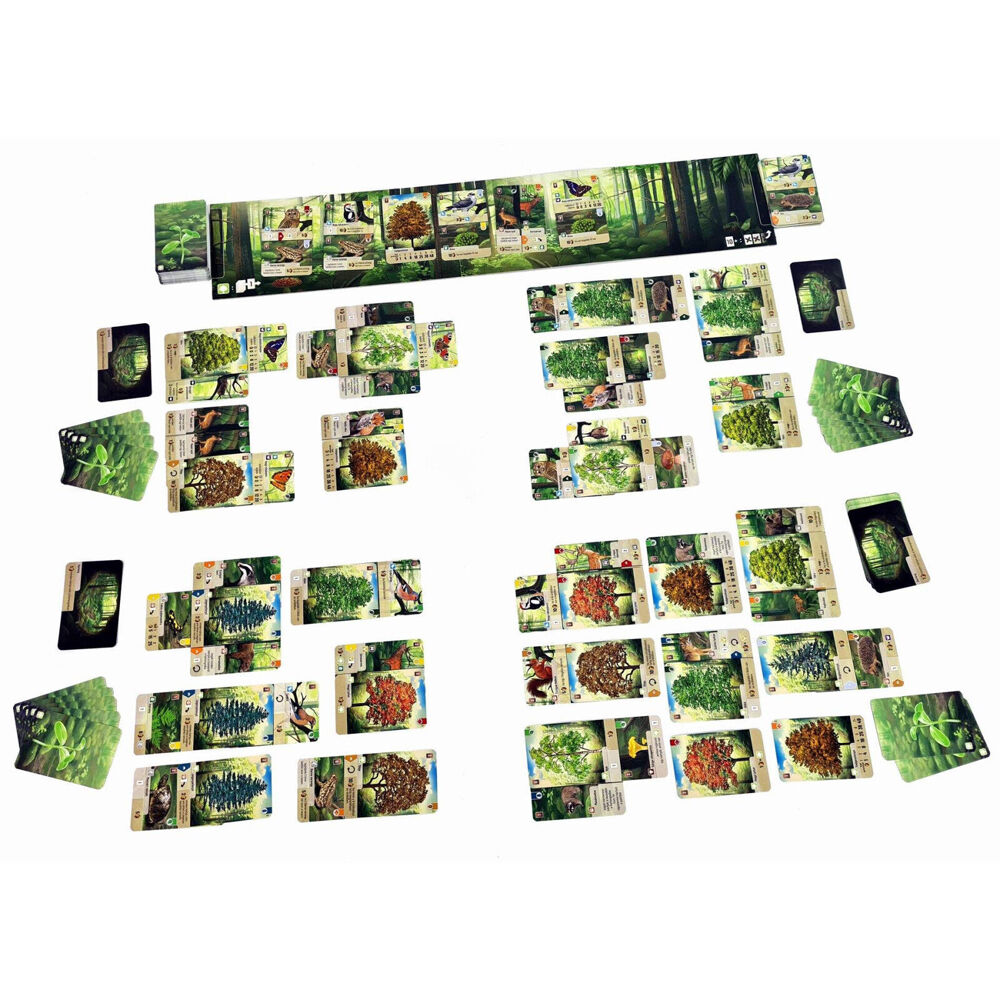 114864-lookout-games-forest-shuffle-kids-interactive-card-game-10y