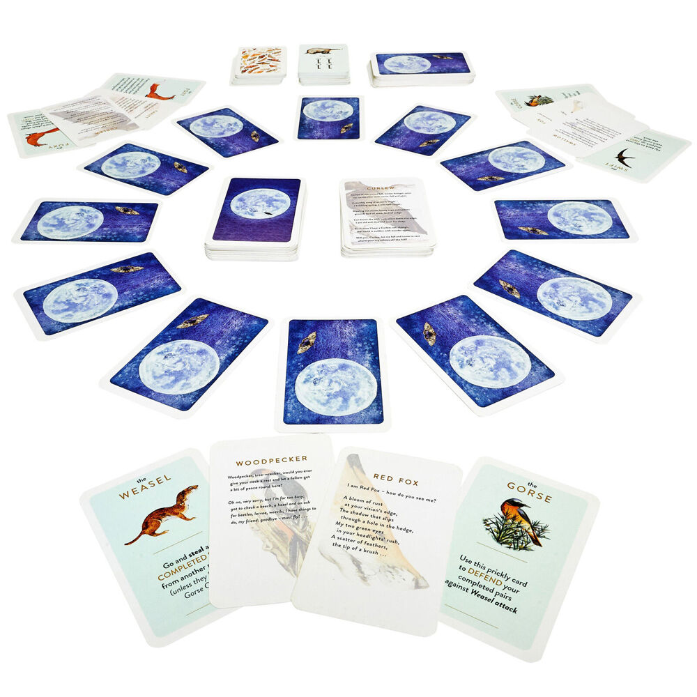116654-kosmos-the-lost-spells-adventure-card-game-kids-children-8y