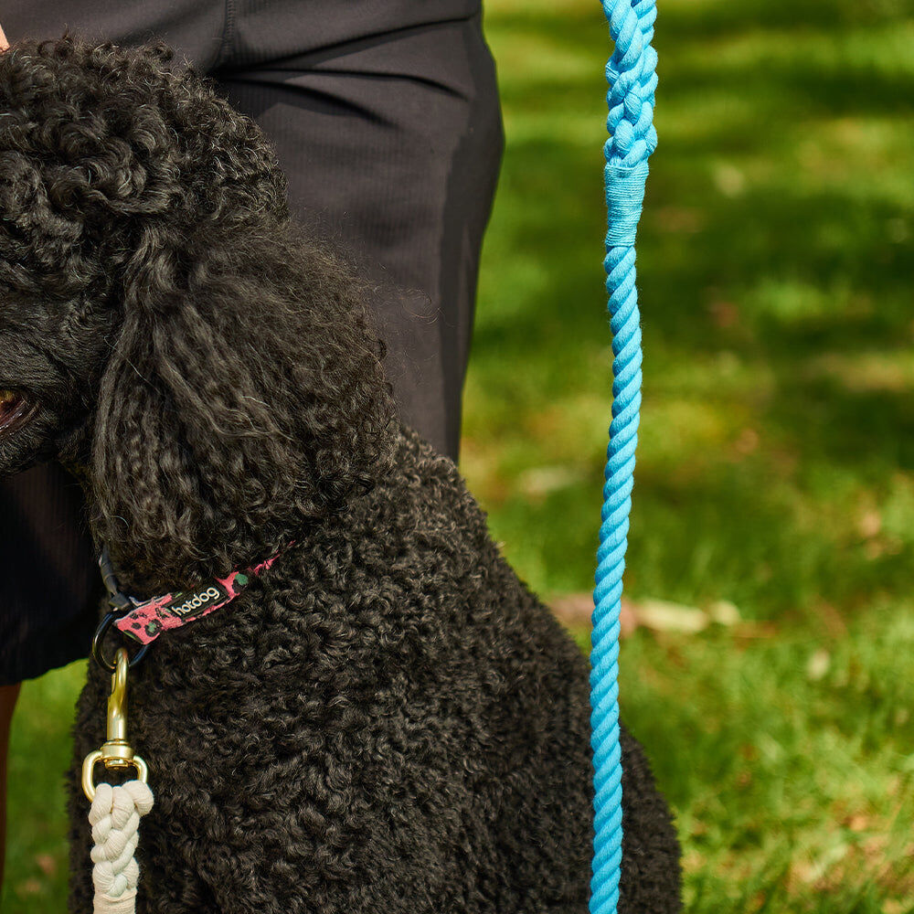 12mpr-annabel-trends-hot-dog-extra-long-multipurpose-rope-lead-1-85m-rainbow
