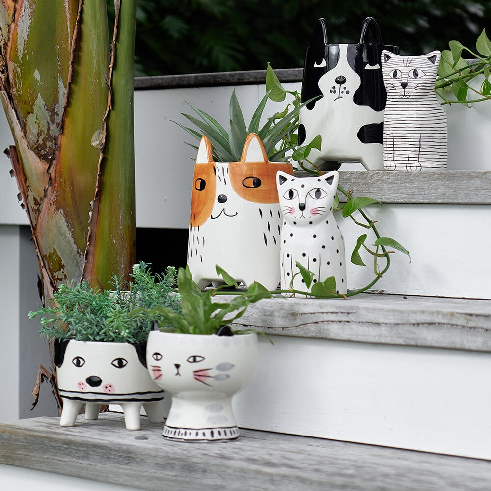52mp-annabel-trends-ceramic-animal-planter-medium-patch-dog-15-5cm