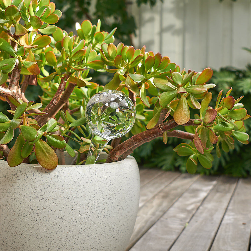 521gs-annabel-trends-plant-water-bubble-garden-decor-26cm-stripes