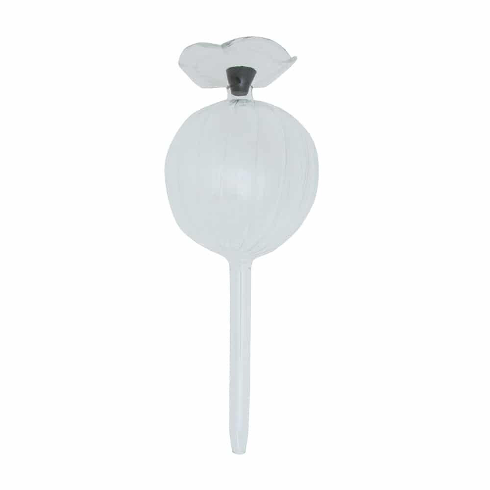 521gtb-annabel-trends-plant-water-bubble-top-fill-26cm-ball