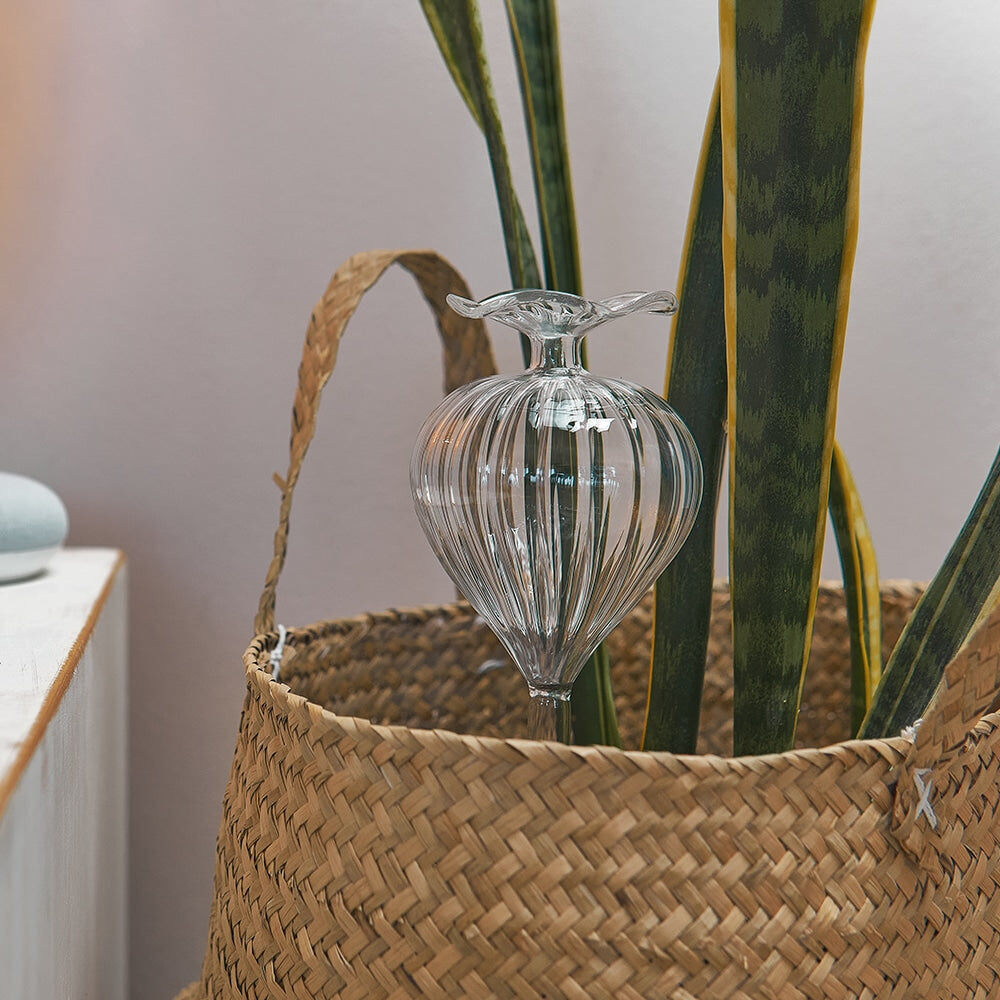 521gtb-annabel-trends-plant-water-bubble-top-fill-26cm-ball