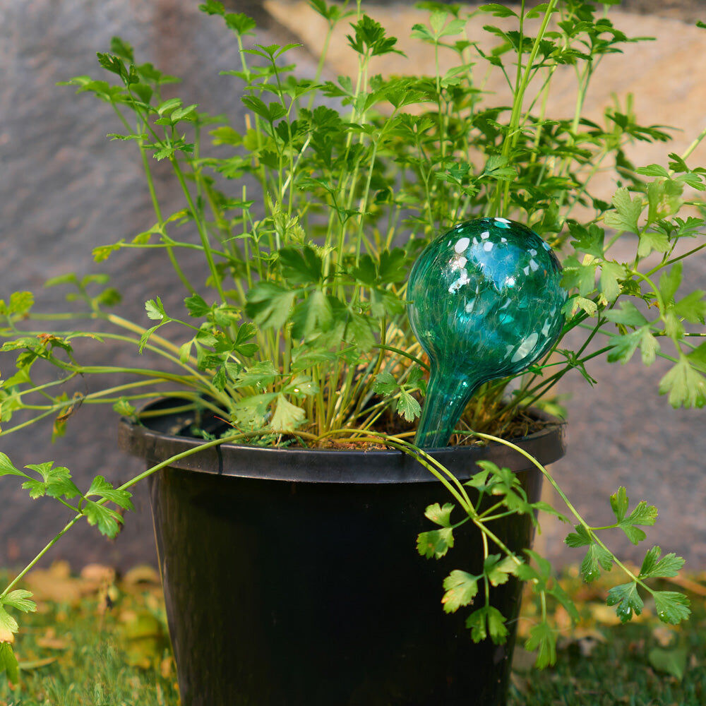 521wg-3pc-annabel-trends-plant-water-globe-set-21-5cm-green