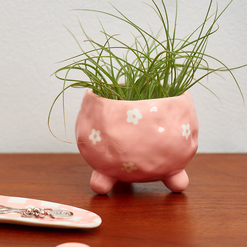 52dpp-annabel-trends-ceramic-planter-flower-pot-8-5x10cm-daisy-pink