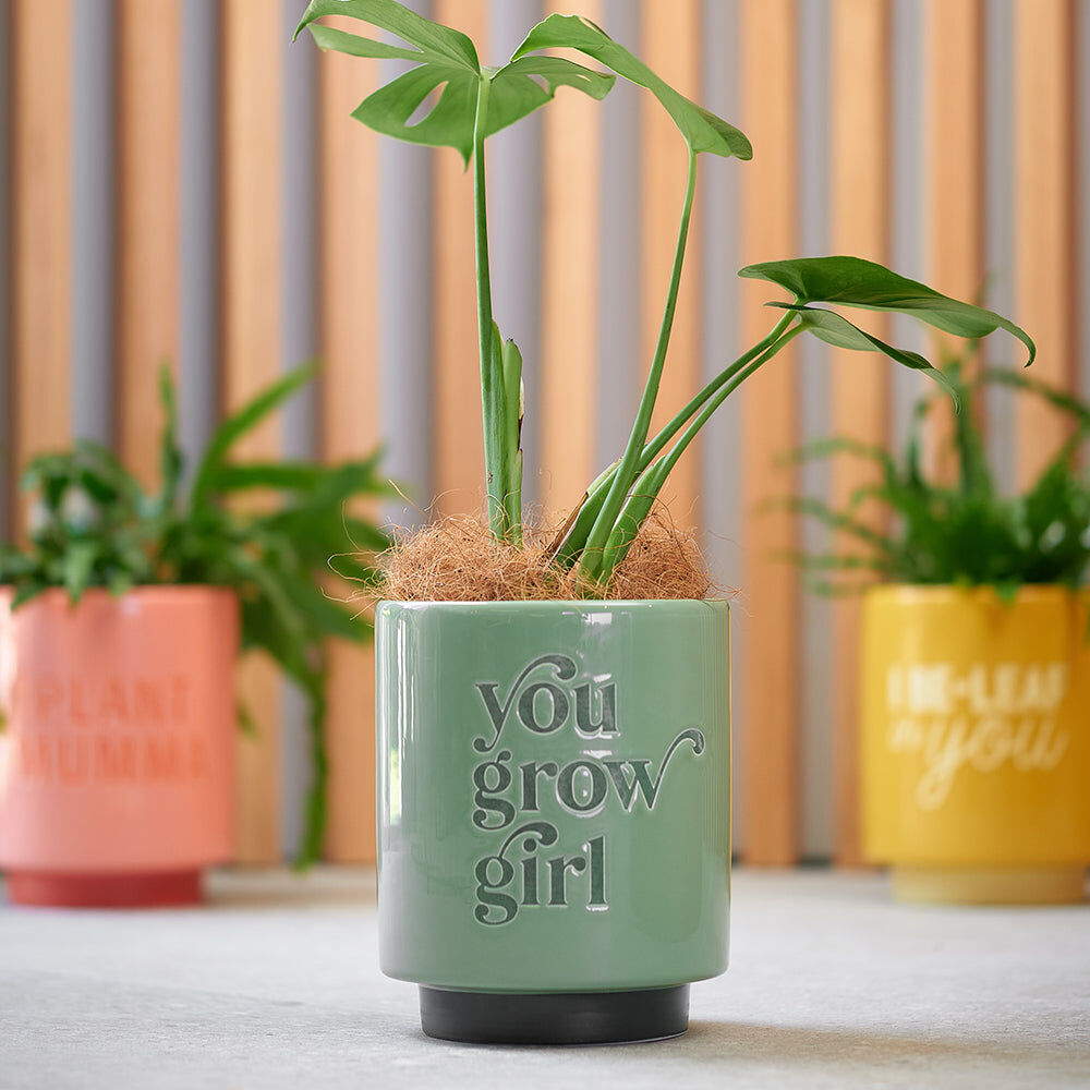 52pm-annabel-trends-ceramic-planter-flower-pot-decor-17cm-plant-mumma