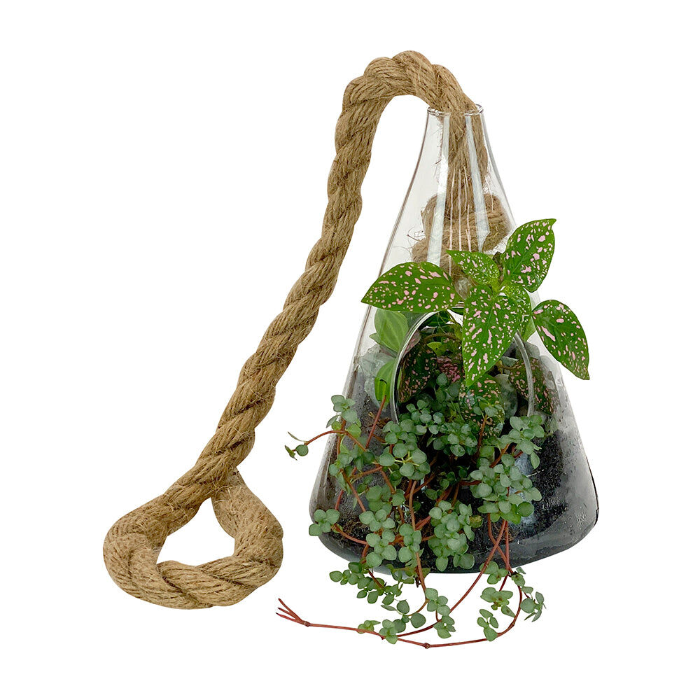 521tcs-annabel-trends-hanging-terrarium-plant-flower-vase-small-decor-cone