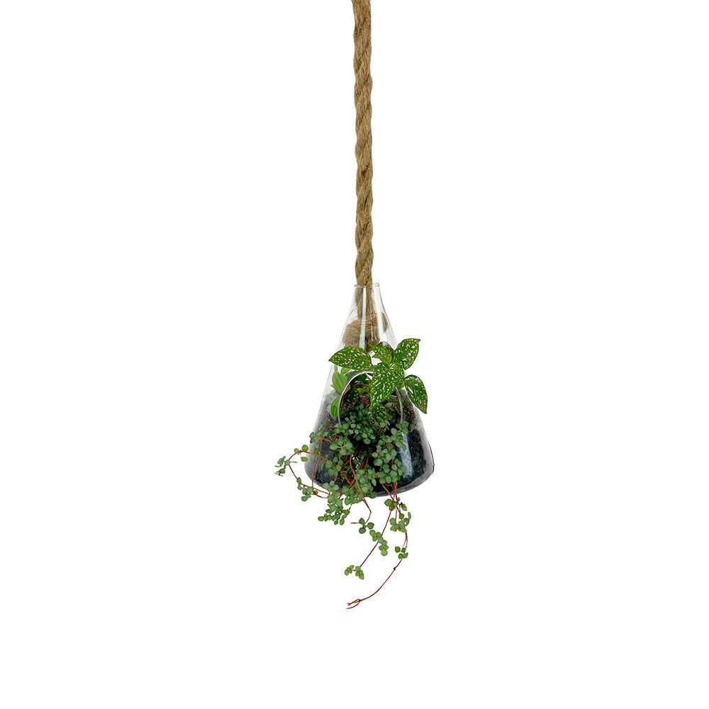 521tcs-annabel-trends-hanging-terrarium-plant-flower-vase-small-decor-cone