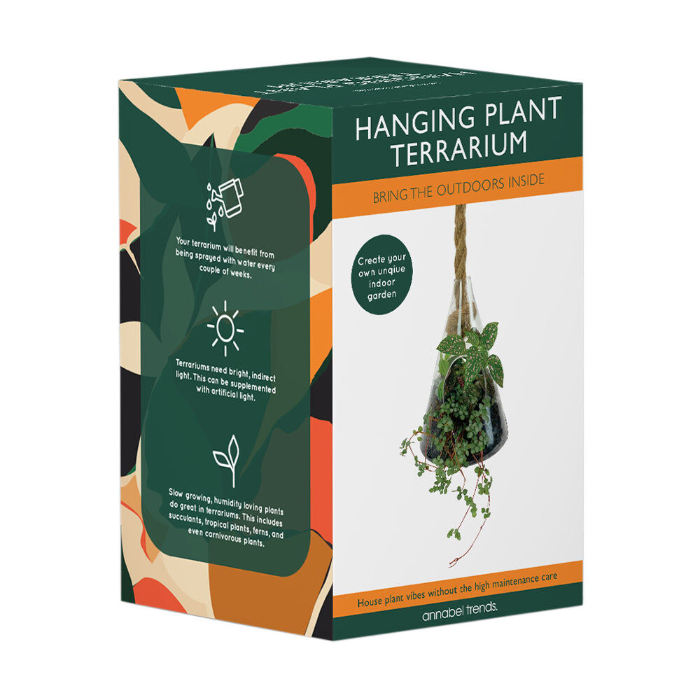 521tcs-annabel-trends-hanging-terrarium-plant-flower-vase-small-decor-cone