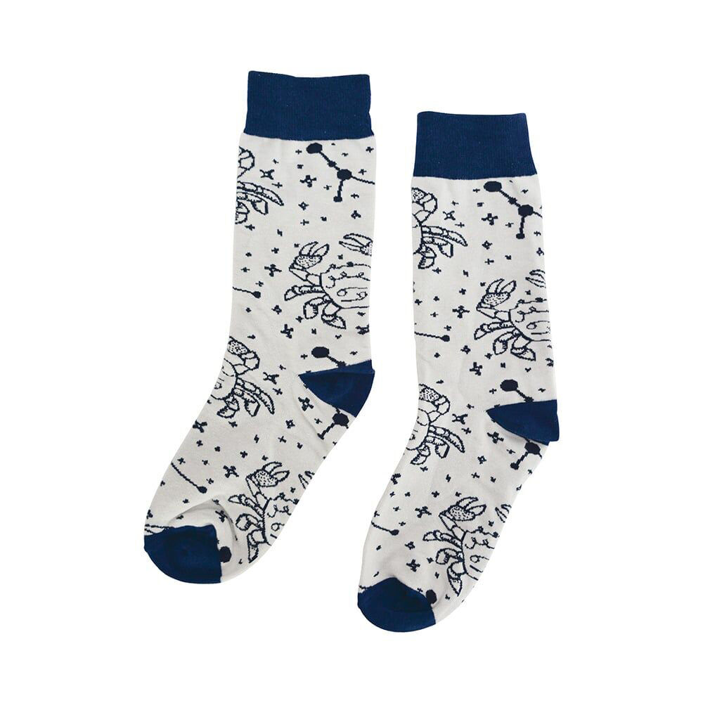 842zc-annabel-trends-boxed-novelty-socks-one-size-zodiac-cancer
