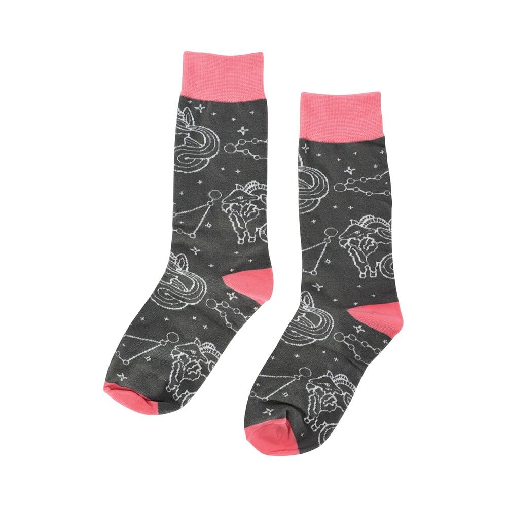 842zcp-annabel-trends-boxed-novelty-socks-one-size-zodiac-capricorn