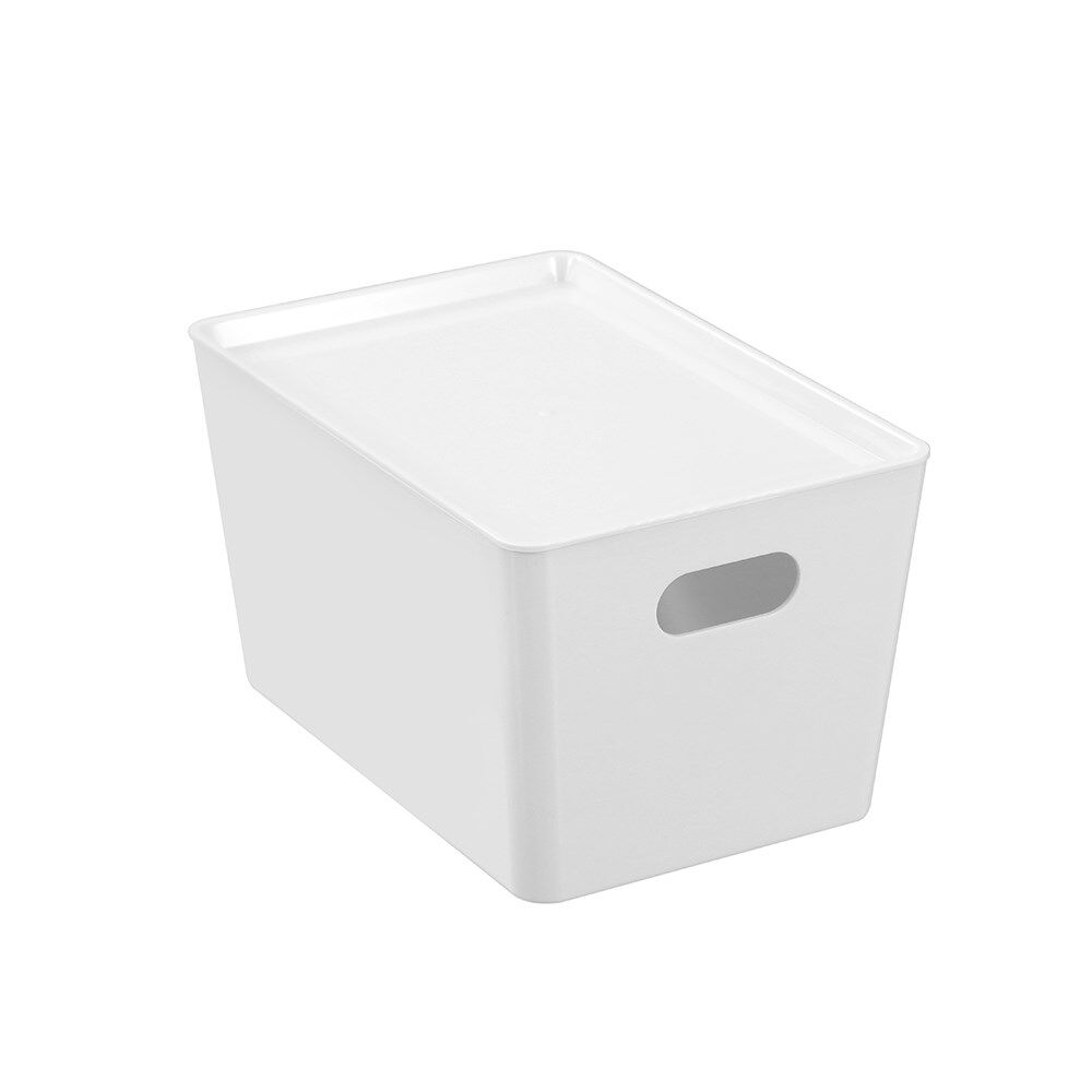42189-boxsweden-smooth-tidy-storage-box-5-6l-26x17-5x14-5cm-assorted