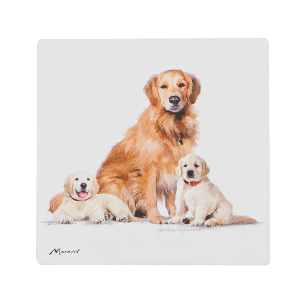 522397-ashdene-puppy-love-ceramic-coaster-square-10x10cm-assorted