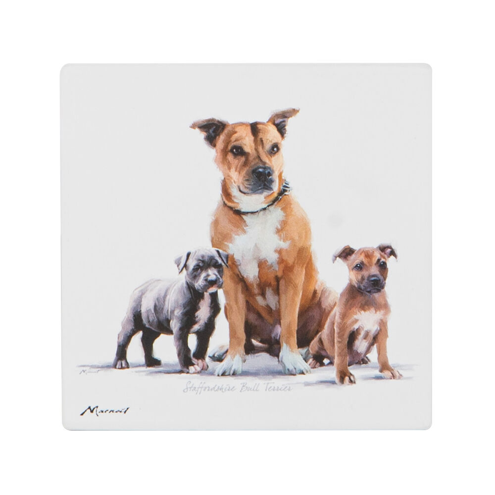 522397-ashdene-puppy-love-ceramic-coaster-square-10x10cm-assorted
