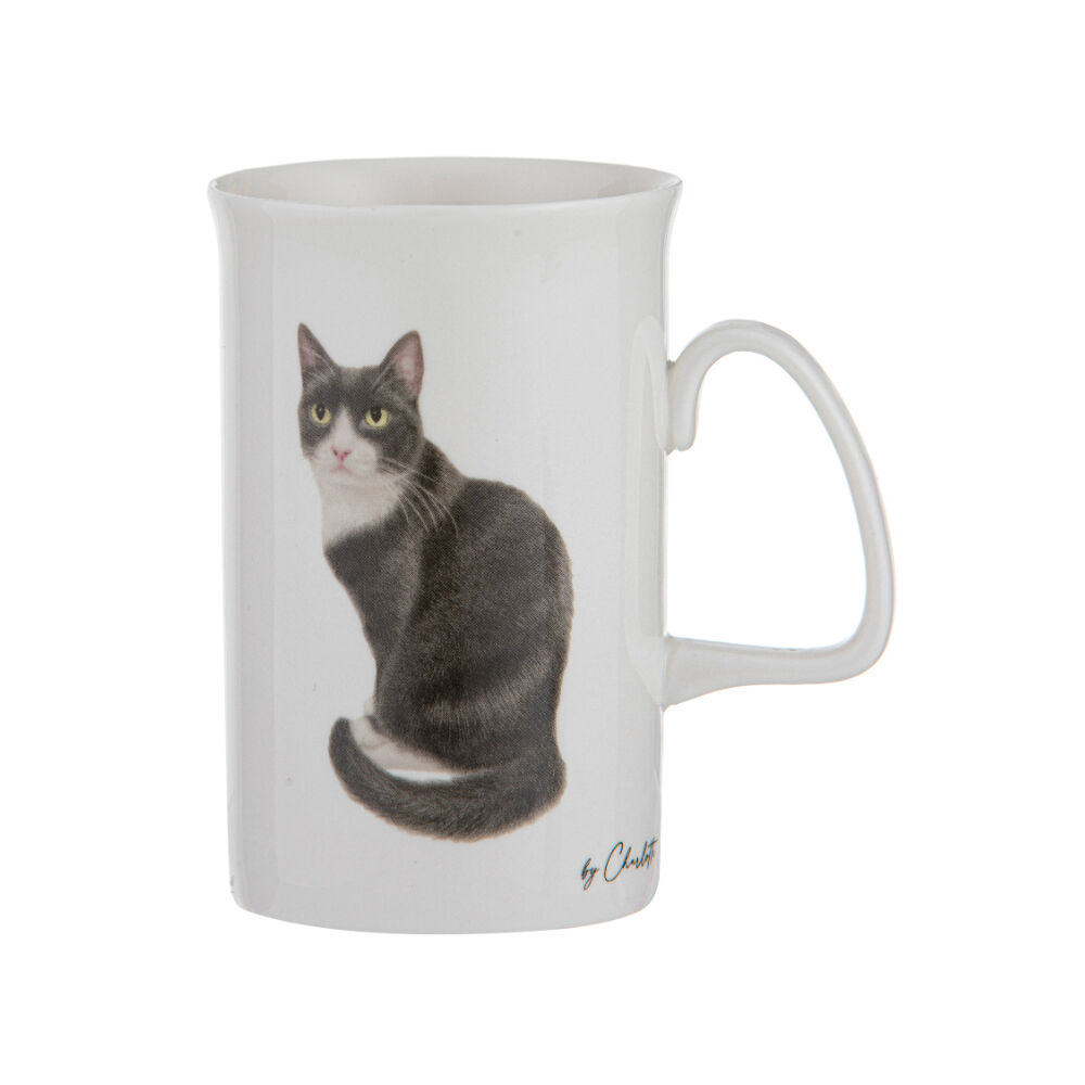 522289-ashdene-purrrfect-moments-350ml-mug-new-bone-china-assorted