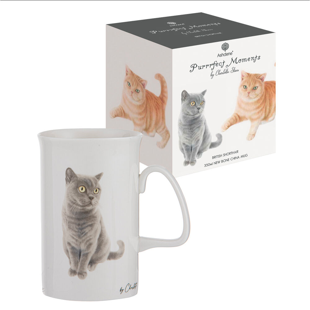 522291-ashdene-purrrfect-moments-british-short-hair-can-350ml-mug-bone-china-white