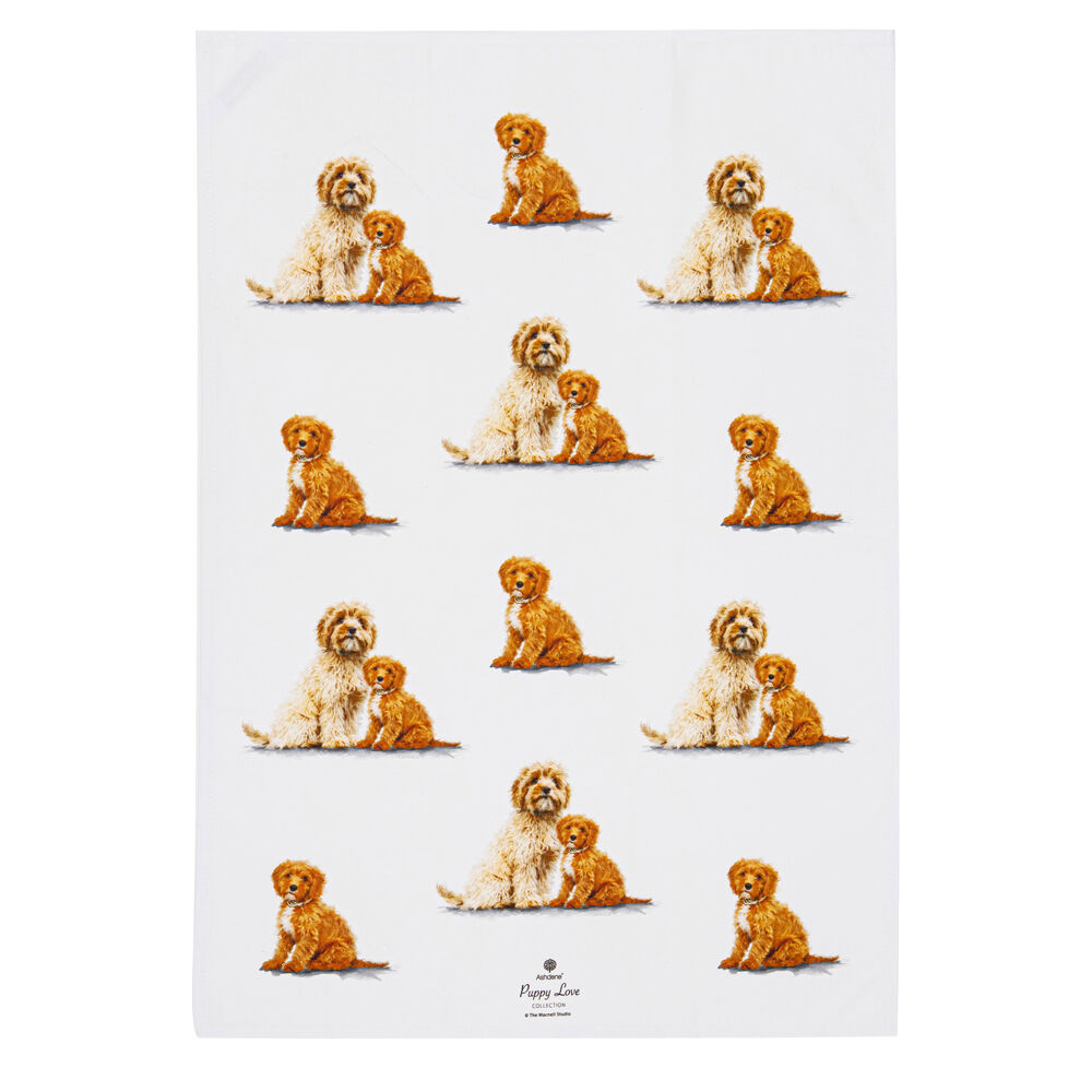 522413-2pc-ashdene-puppy-love-cavoodle-kitchen-tea-towel-50x70cm-white