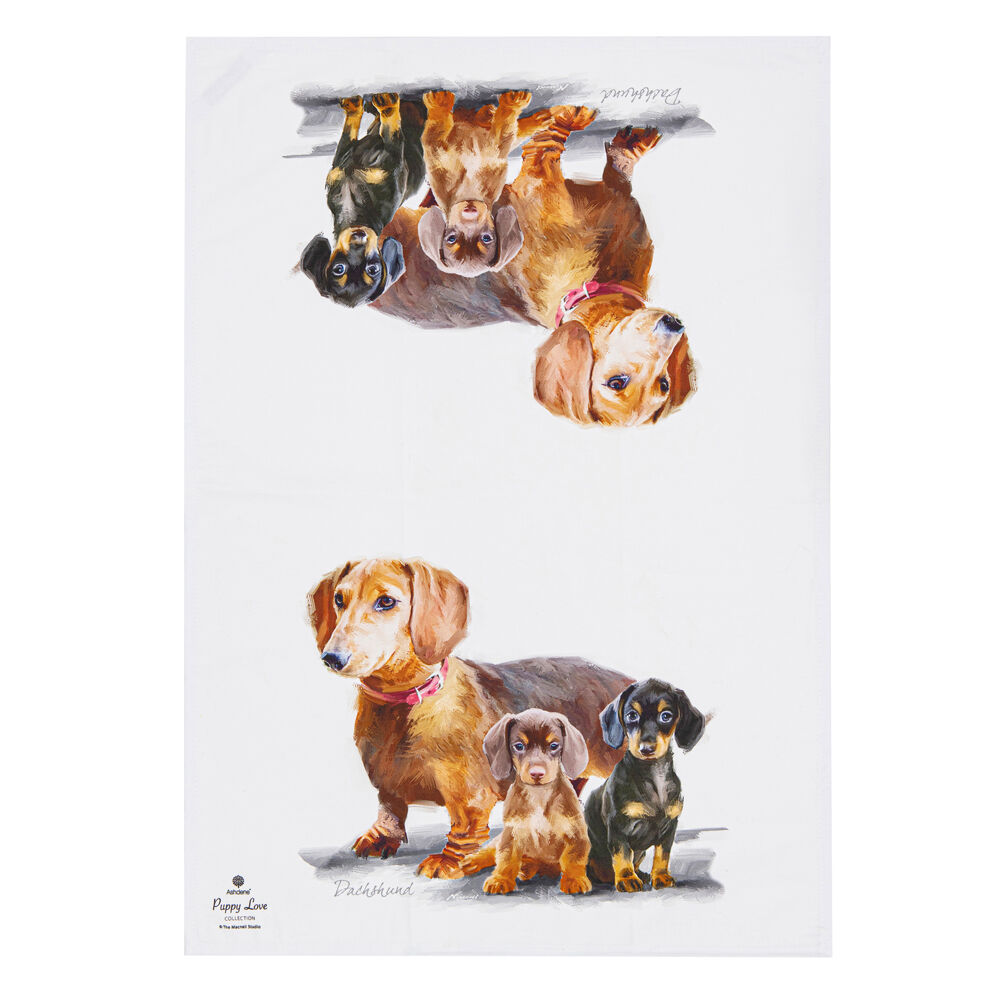 522414-2pc-ashdene-puppy-love-dachshund-kitchen-tea-towel-50x70cm-white