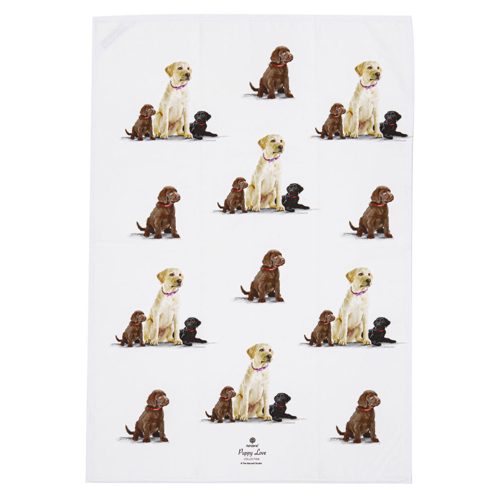 522415-2pc-ashdene-puppy-love-labrador-kitchen-tea-towel-50x70cm-white