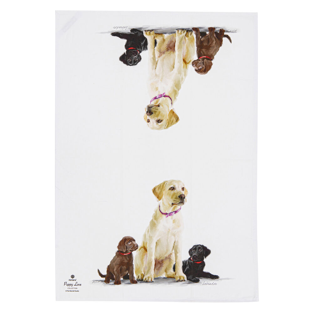 522415-2pc-ashdene-puppy-love-labrador-kitchen-tea-towel-50x70cm-white