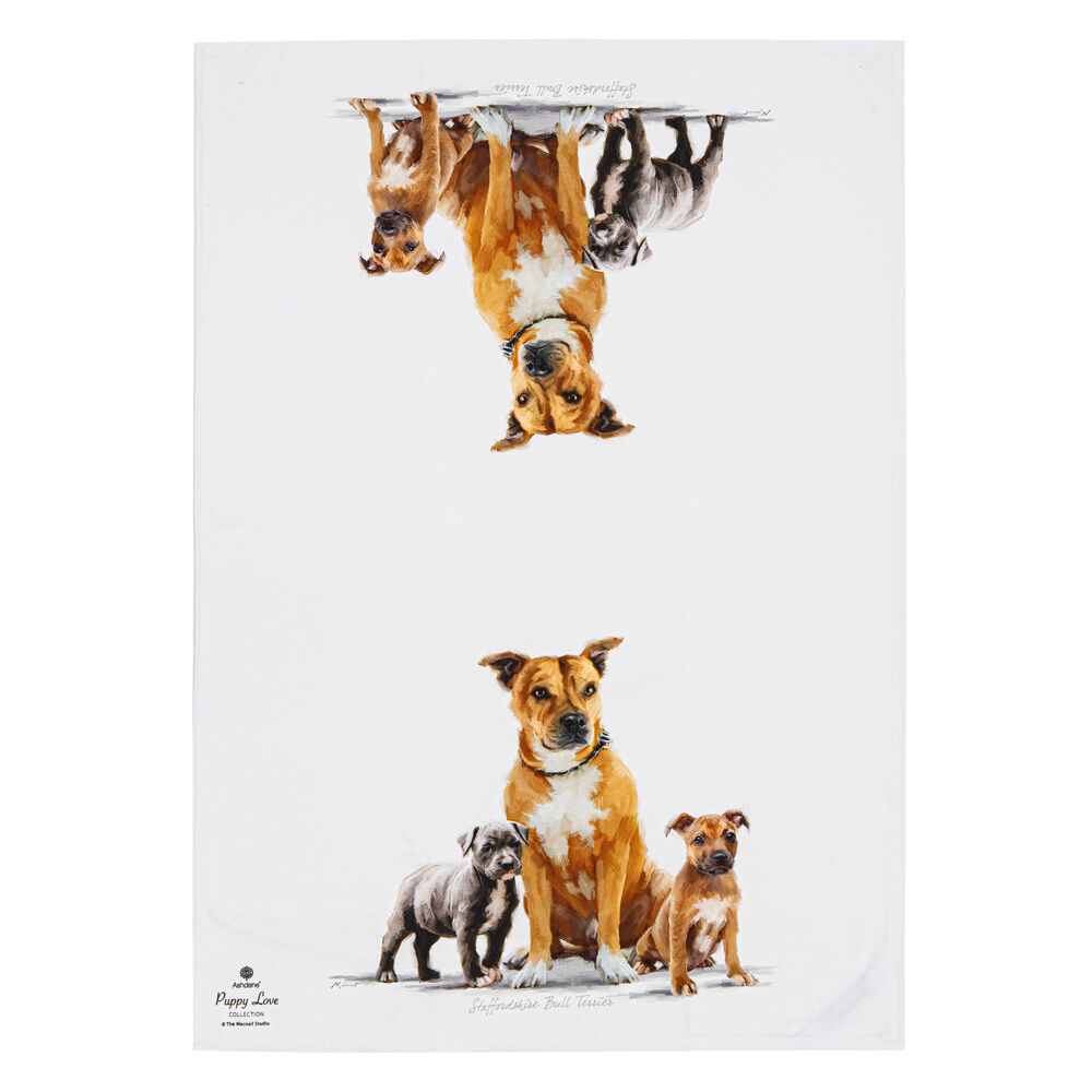 522417-2pc-ashdene-puppy-love-staffy-terrier-kitchen-tea-towel-50x70cm-white