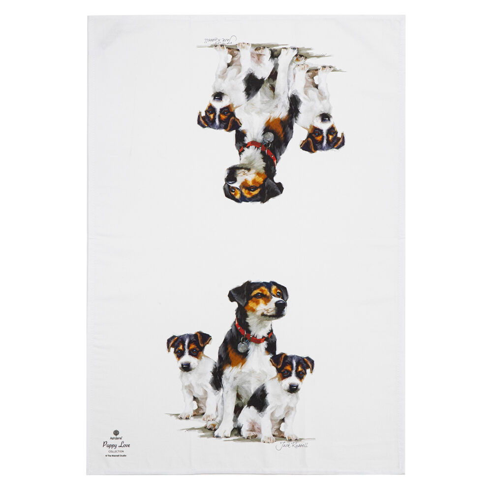 522420-2pc-ashdene-puppy-love-jack-russell-kitchen-tea-towel-50x70cm-white