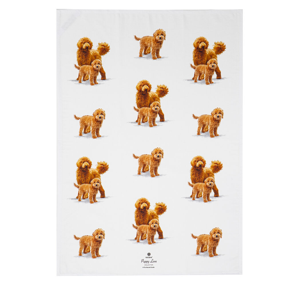 522421-2pc-ashdene-puppy-love-groodle-kitchen-tea-towel-50x70cm-white
