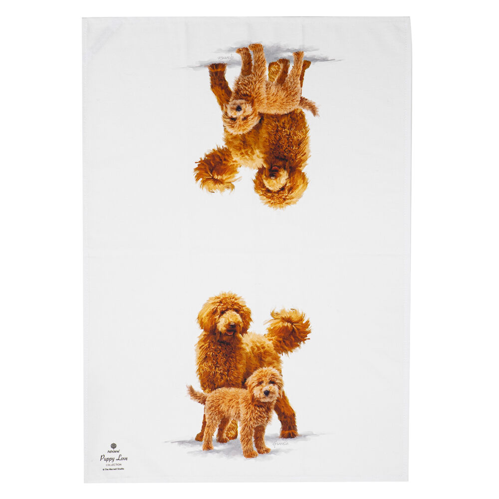 522421-2pc-ashdene-puppy-love-groodle-kitchen-tea-towel-50x70cm-white