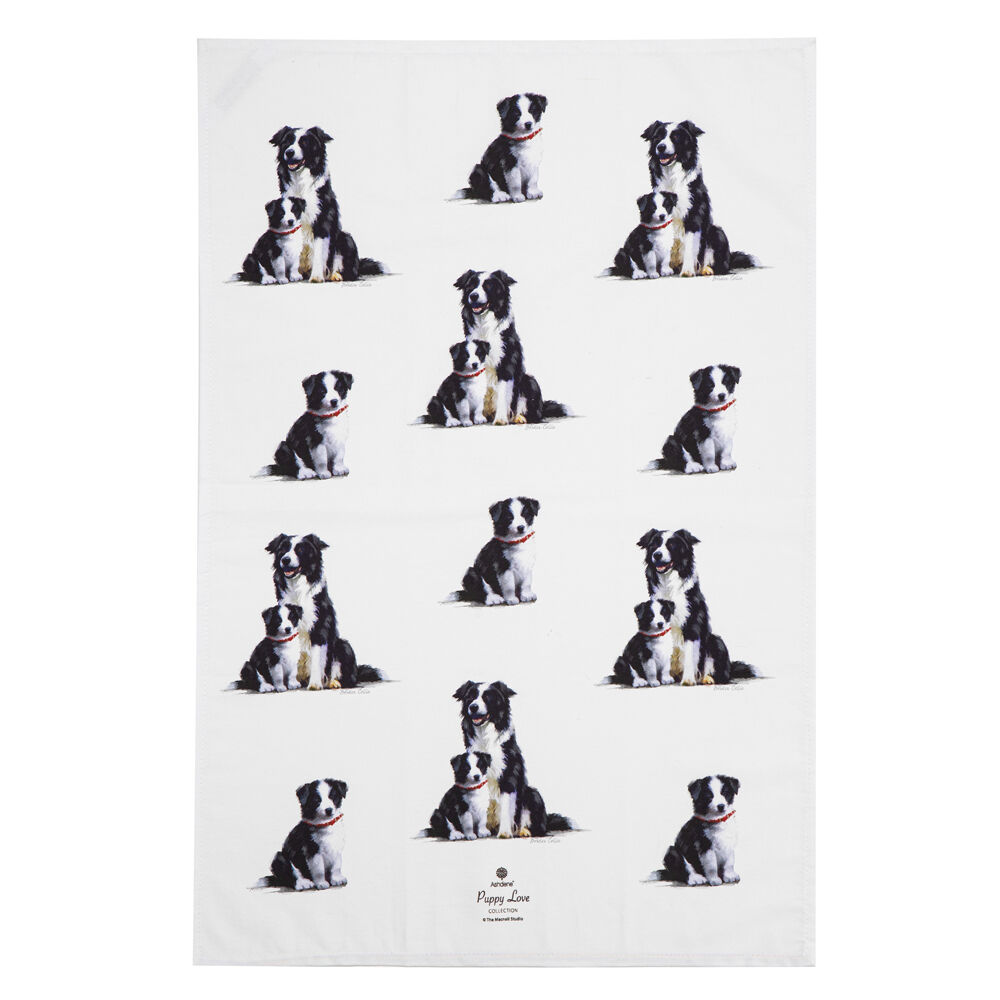 522422-2pc-ashdene-puppy-love-border-collie-kitchen-tea-towel-50x70cm-white