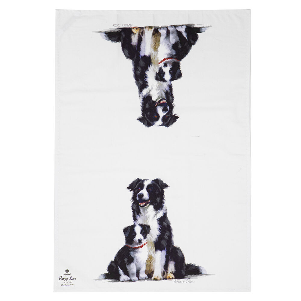 522422-2pc-ashdene-puppy-love-border-collie-kitchen-tea-towel-50x70cm-white