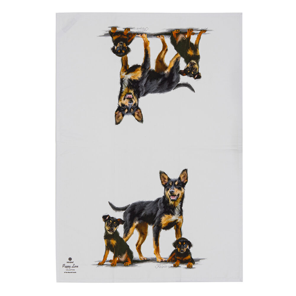 522423-2pc-ashdene-puppy-love-kelpie-kitchen-tea-towel-50x70cm-white
