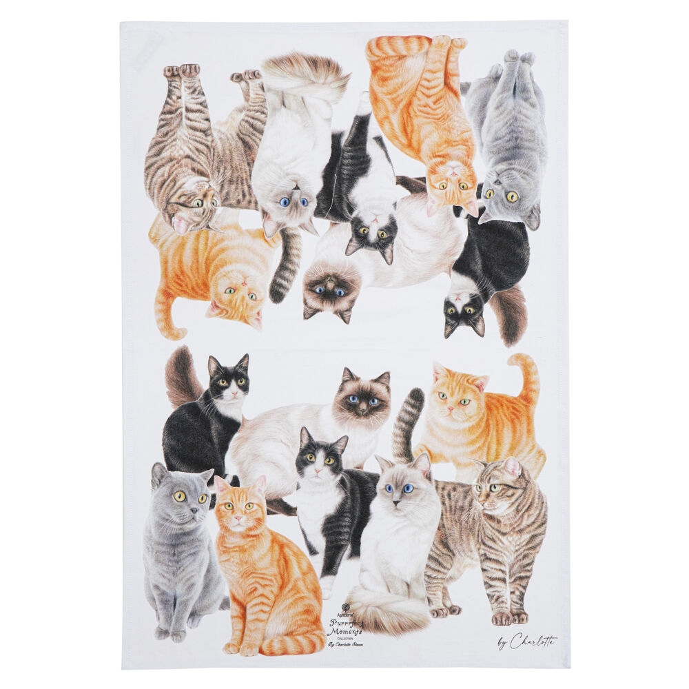 522303-2pc-ashdene-purrrfect-moments-kitchen-tea-towel-50x70cm-white
