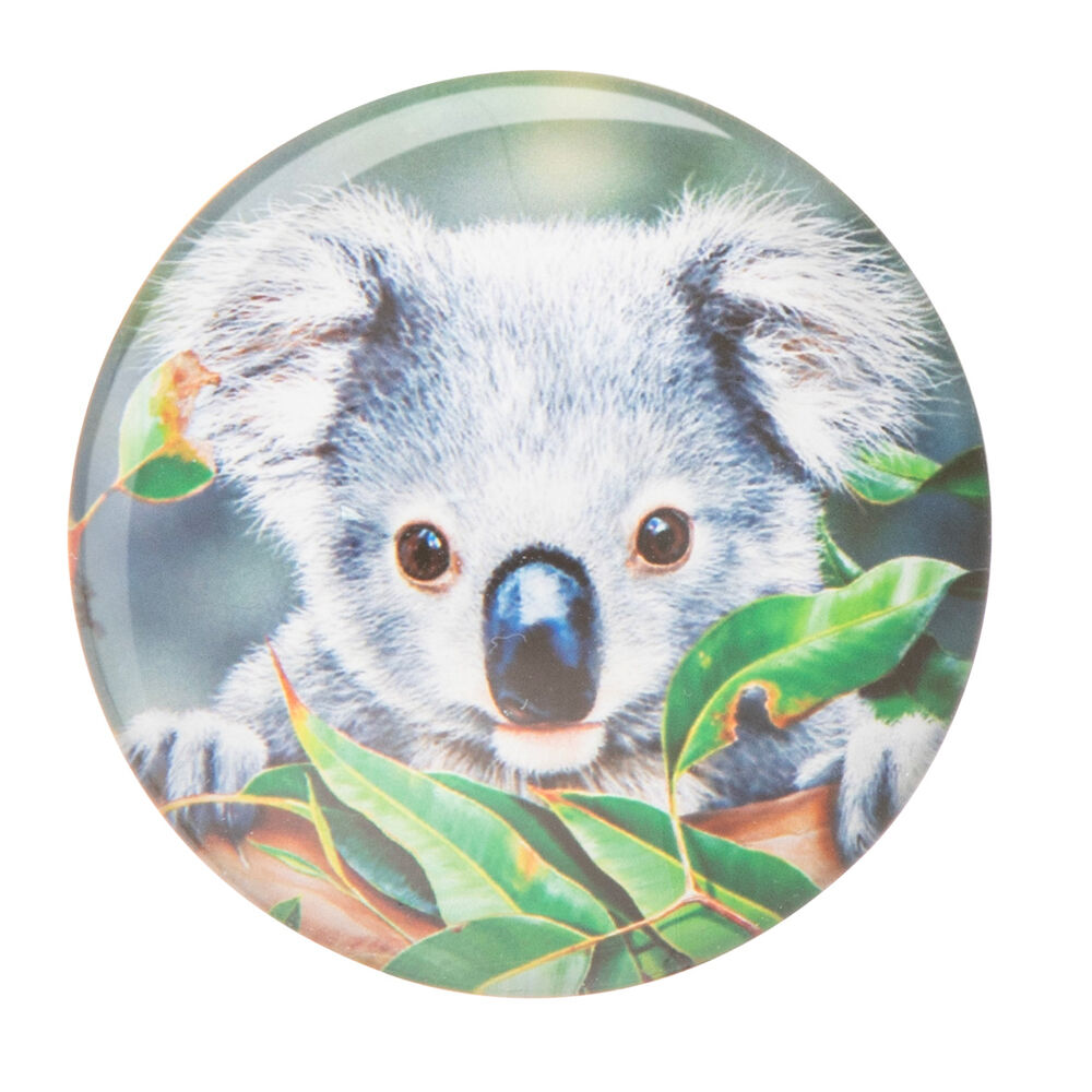 522372-4pc-ashdene-babies-of-the-bush-refrigerator-magnet-set-5cm