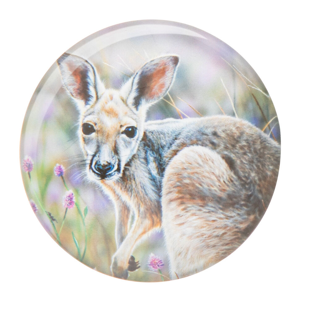 522372-4pc-ashdene-babies-of-the-bush-refrigerator-magnet-set-5cm